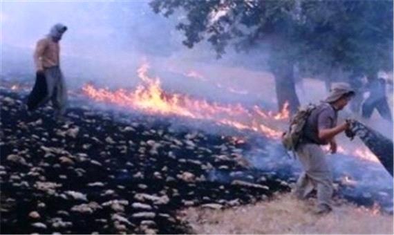 آتش‌ سوزی، جان 3 فعال محیط زیست را گرفت