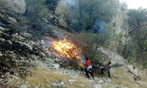 مهار آتش سوزی منطقه جنگلی قلات شهرستان سرچهان