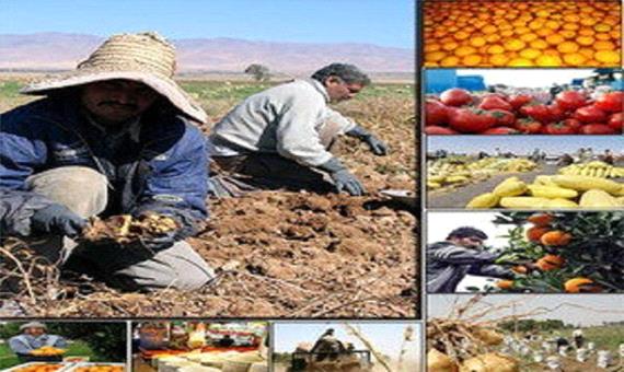 فعالیت ٧٨٢ واحد یاور تولید در کشاورزی فارس