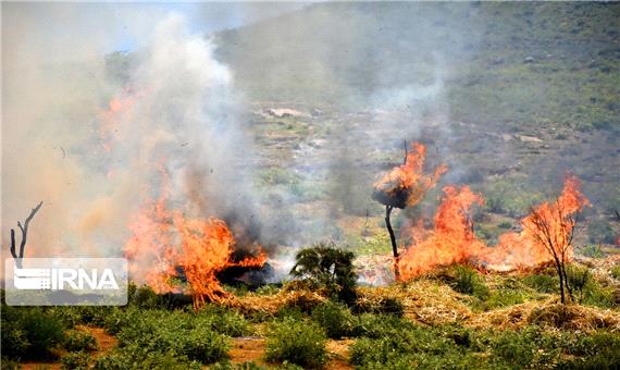 آتش‌سوزی در بخش کردیان جهرم مهار شد