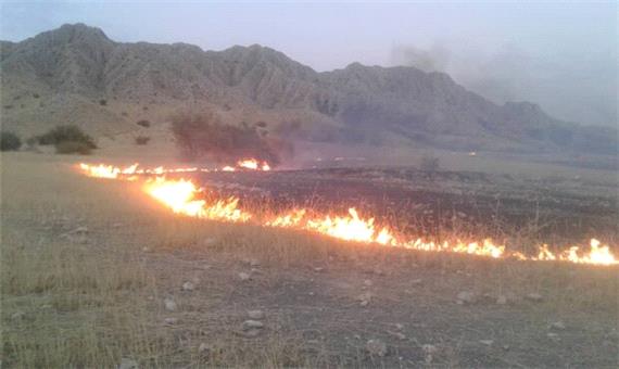 آتش سوزی ارتفاعات مهارلو در 3 جبهه مهار شد