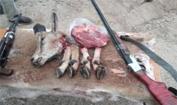 دستگیری 203 شکارچی غیر مجاز در استان فارس