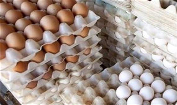 نرخ واقعی هر کیلو تخم‌ مرغ بالای 15 هزار تومان است