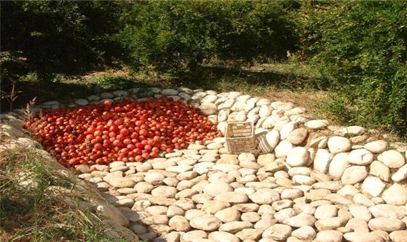 نگهداری انار در کازرون به روش سنتی در غیاب سردخانه صنعتی