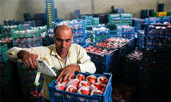 صادرات انار بدون آورده ارزی