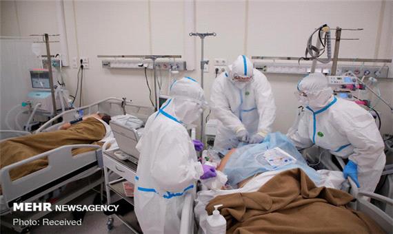 34 بیمار مبتلا به کرونا در فارس جان باختند