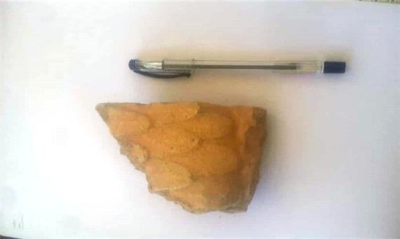 کشف یک قطعه خشت منقوش اوایل دوره هخامنشی در مرودشت