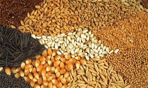 کشف 422 تن خوراک دام احتکار شده در داراب