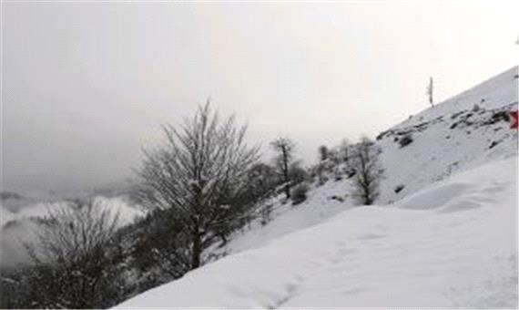 بارش برف 15 تا 40 سانتیمتری در ارتفاعات گیلان