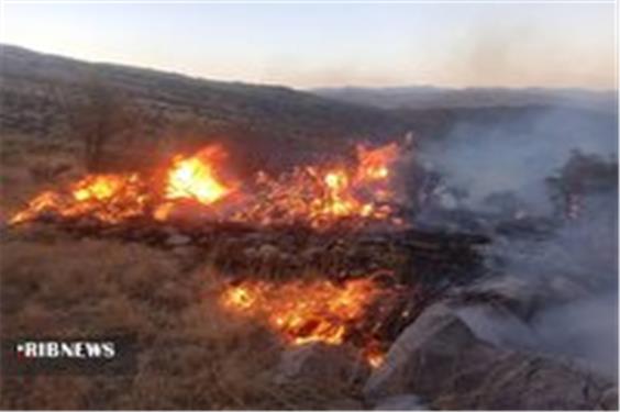 ارتفاعات روستای دشتک مرودشت همچنان در محاصره آتش