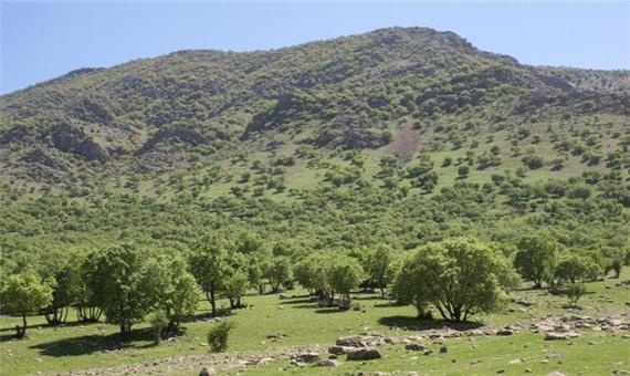 کاداستر 9 میلیون هکتار از منابع طبیعی فارس