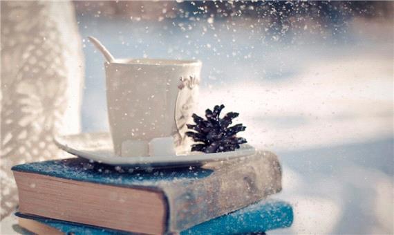 فارس رتبه پنجم کشور را در فروش زمستانه کتاب کسب کرد