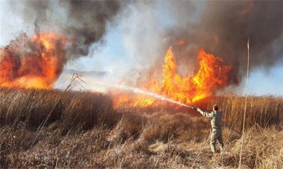 انسان و گرما، مهم‌ترین عامل آتش‌سوزی در عرصه‌های منابع طبیعی/ روند آتش‌سوزی‌ها در سال جاری نزولی است
