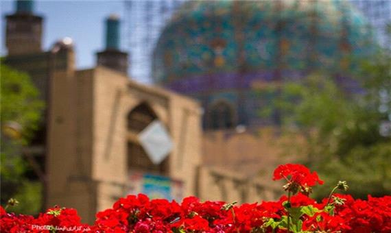 تصاویر/جشنواره گل سرخ در چهارباغ