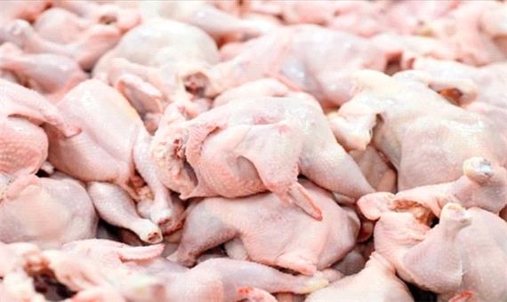 تولید 575 تن گوشت سفید در ارسنجان