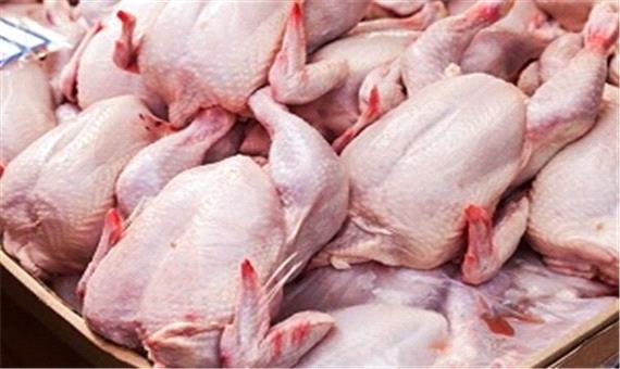 اعلام دلیل جدید برای گرانی مرغ