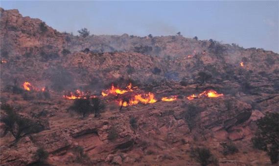 آتش سوزی عمدی جنگل، دامنگیر دامدار متخلف شد