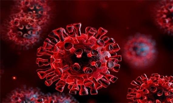 اعلام آخرین آمار‌های مربوط به کروناویروس در فارس/مرگ 6 نفر دیگر بر اثر ویروس کووید 19
