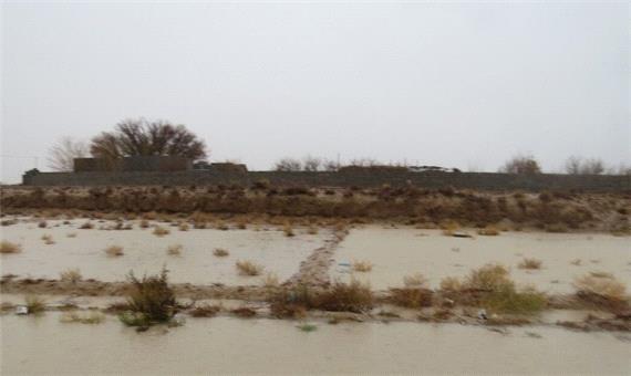 خسارت میلیاردی باران و طوفان در شهرستان های فارس