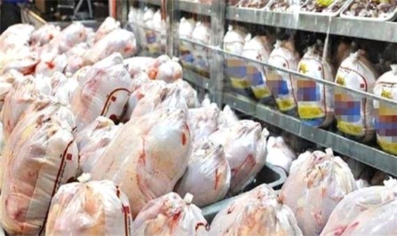 توزیع 300 تن مرغ روزانه در مازندران/ گرمای هوا تولید مرغ را پایین آورد