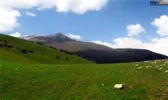 سند تک برگ برای بیش از 55 میلیون مترمربع از اراضی ملی ارسنجان صادر شد