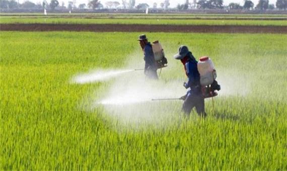 رشد 34 درصدی توزیع کود شیمیایی در بین کشاورزان استان فارس