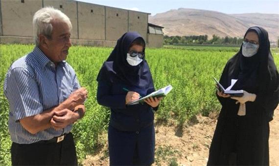 طرح نسخه نویسی گیاه پزشکی در شیراز آغاز شد