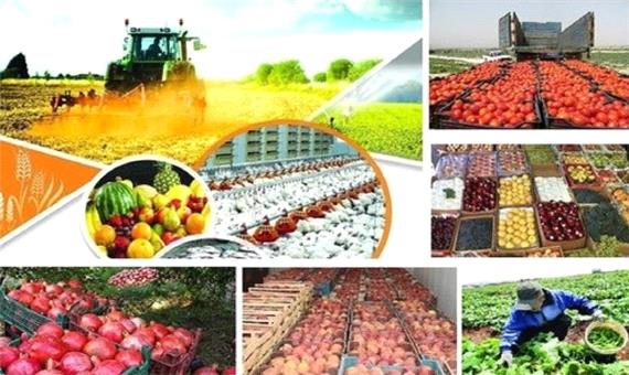 افزایش 20 درصدی متقاضیان تولید محصول گواهی شده در شیراز
