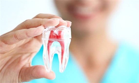 پذیرش بیمار در دانشکده دندانپزشکی شیراز از 20 شهریور