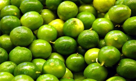برداشت لیمو از بیش از 5 هزار هکتار از باغ‌های جهرم