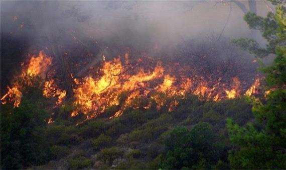 آتش سوزی جنگل‌های ارمنستان با کمک ایرانی‌ها خاموش شد