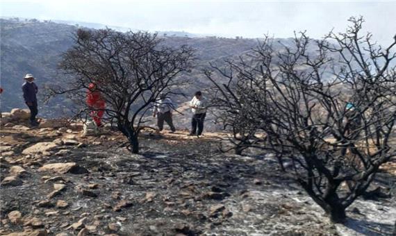 آتش‌سوزی در ارتفاعات فیروزآباد فارس مهار شد