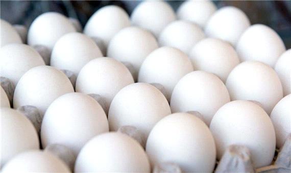 باید و نبایدهای مصرف تخم مرغ