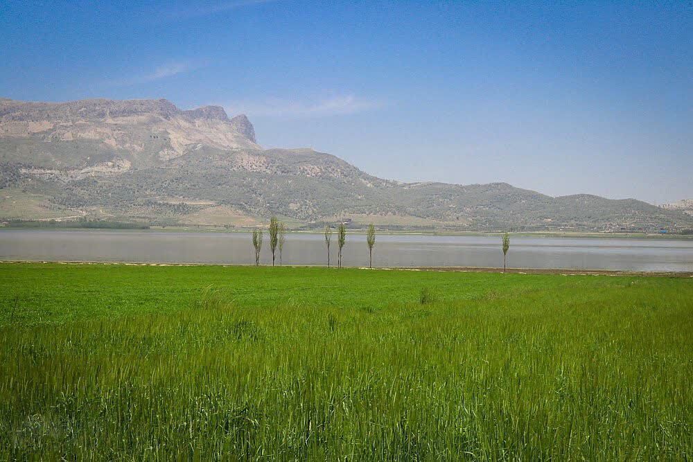 پیام فارس