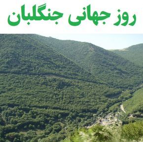 پیام فارس