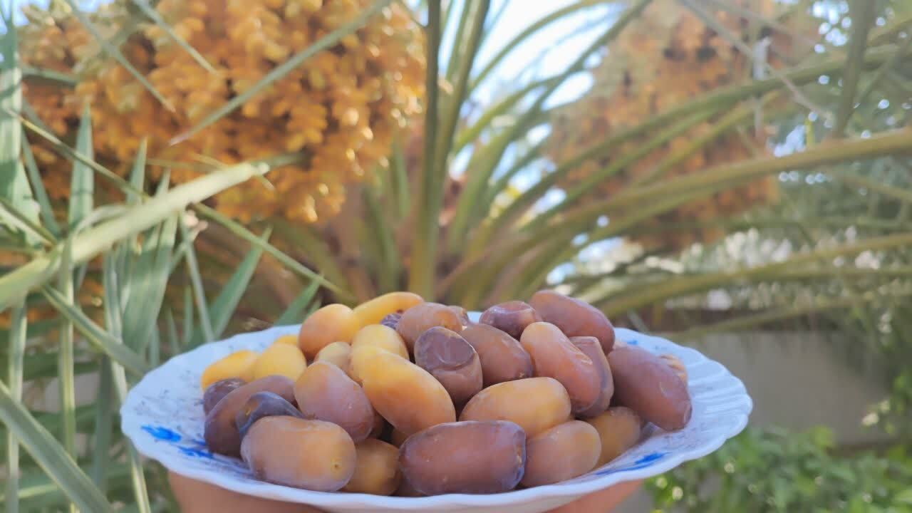 پیام فارس