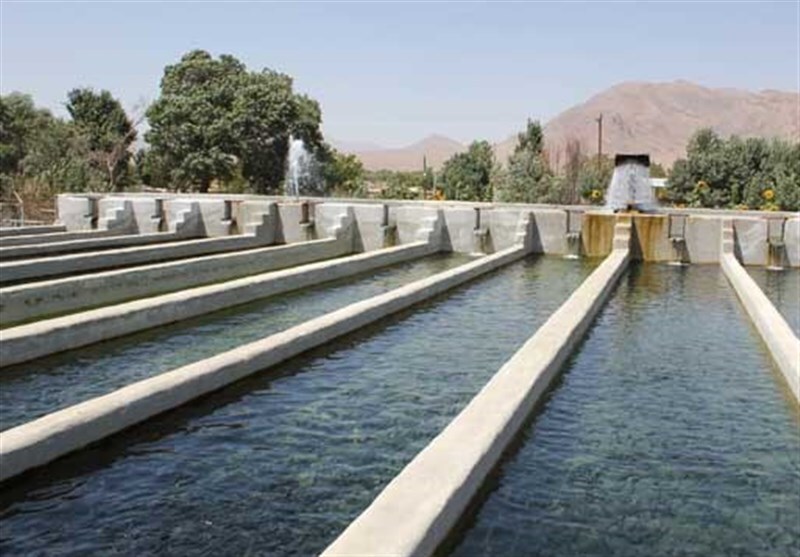 پیام فارس
