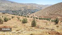آغاز طرح بزرگ جنگل‌کاری در تپه‌های جنوبی اردکان