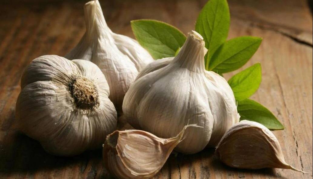 خطرناک‌ترین روش نگهداری سیر که می‌تواند مرگبار باشد!