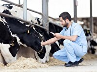 پایش کانون‌های احتمالی بیماری تب برفکی در سرچهان