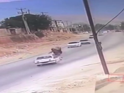لحظه برخورد وحشتناک خودرو با اسب در استان فارس