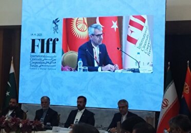 بقایی: دیپلماسی فرهنگی بستری برای انسجام انسانی در جهان متلاطم است