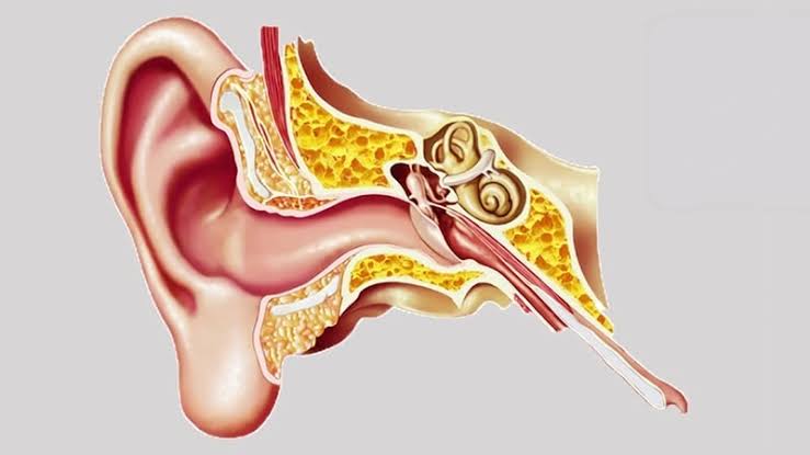 چه دلایلی باعث گرفتگی گوش می شود؟