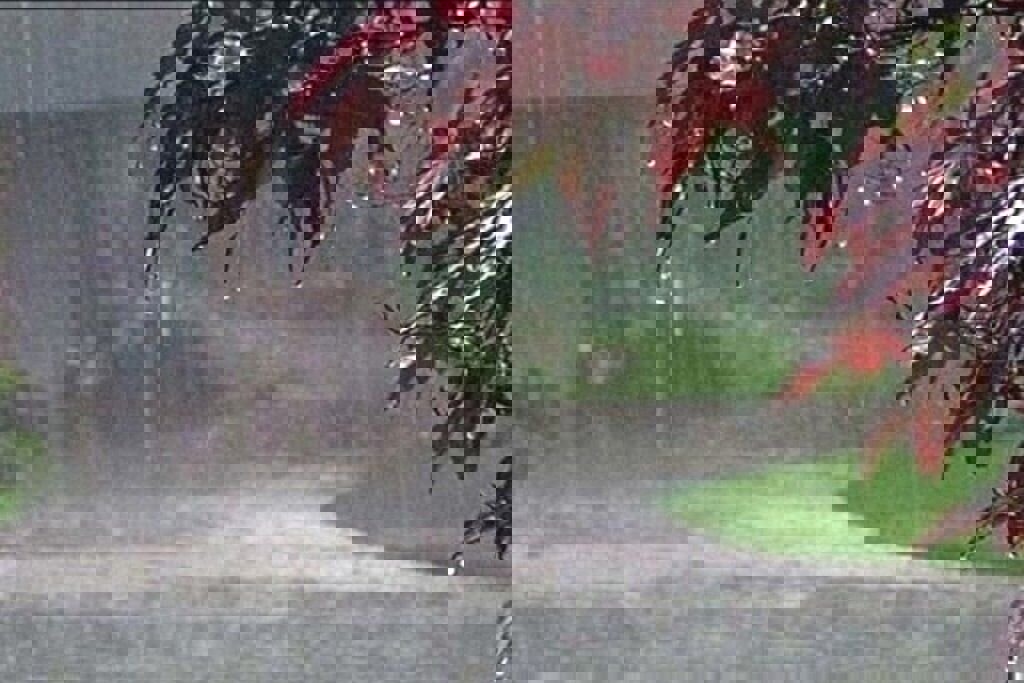 باران در فارس اوج گرفت؛ ۷۰ میلی‌متر بارش در لامرد