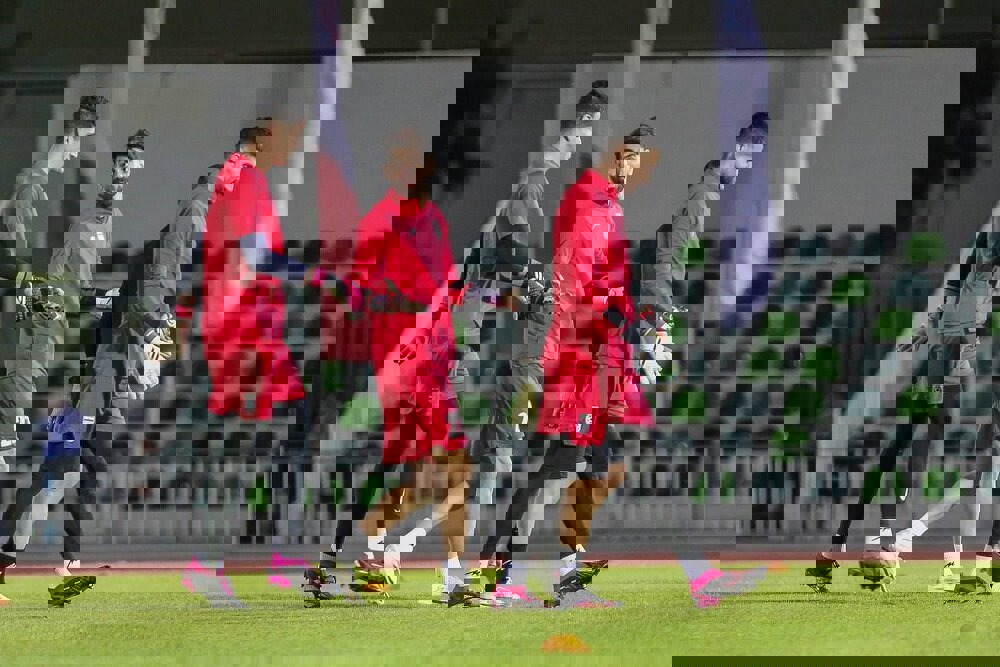 دروازه‌بان‌های تیم ملی فوتبال ایران برای جام جهانی مشخص شدند