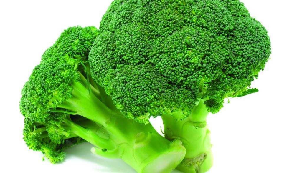 فواید و مضرات کلم بروکلی