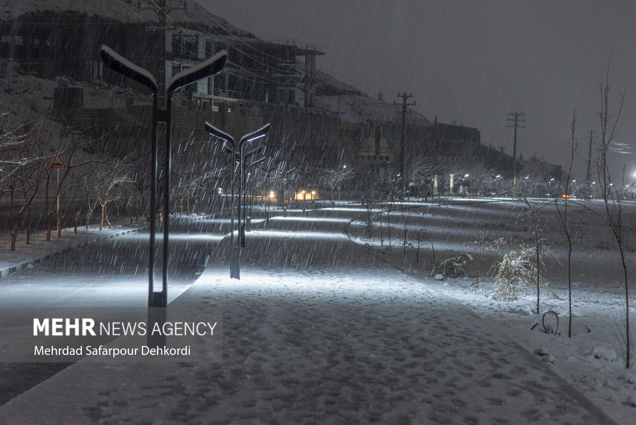 بارش برف در شیراز آغاز شد