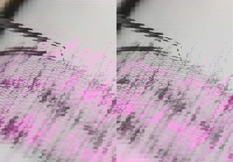 زلزله عمادده فارس خسارتی نداشت