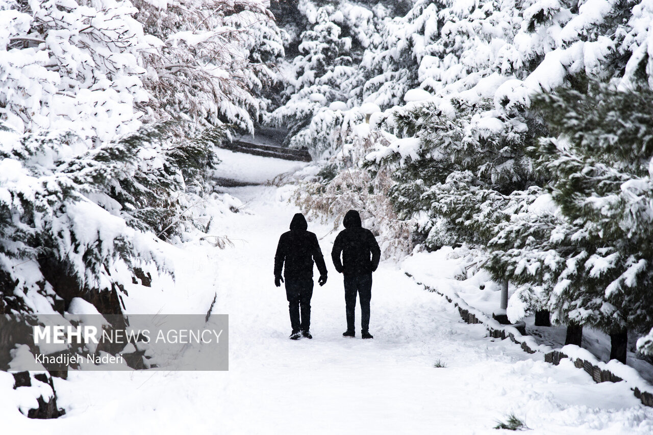 بارش برف در تفرجگاه پیر کدو شهرستان بوانات فارس