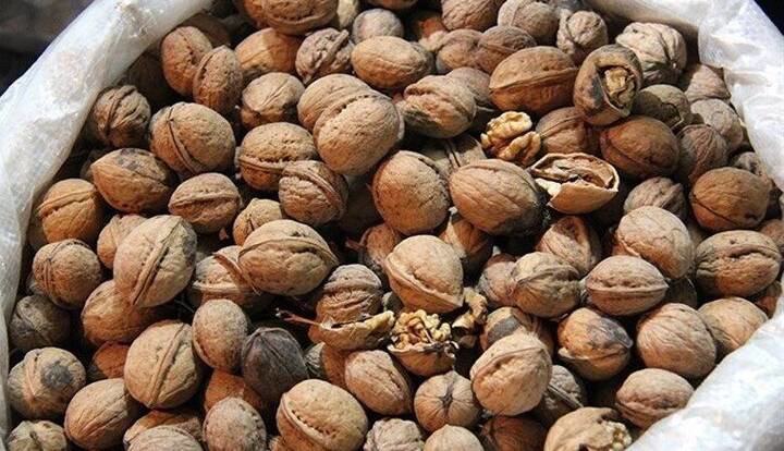 گردوهای ۲۰ میلیارد ریالی فاقد مجوز به بازار نرسید